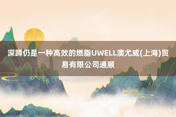 深蹲仍是一种高效的燃脂UWELL澳尤威(上海)贸易有限公司通顺